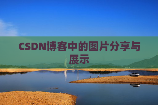 CSDN博客中的图片分享与展示